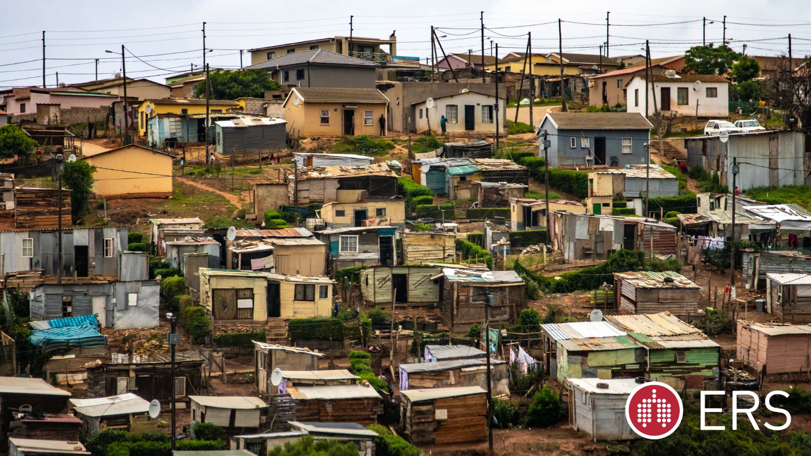 Panel discussion on social determinants of tuberculosis: a global perspective - Preview Image
