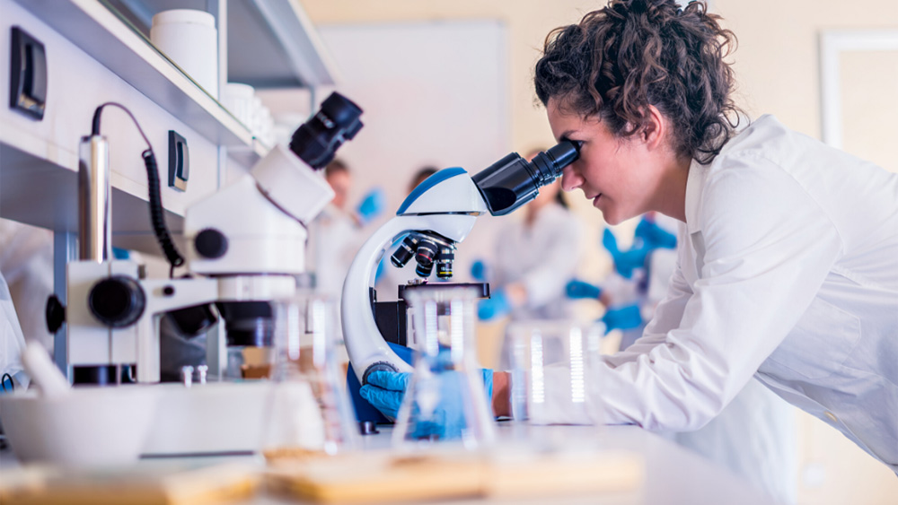 Epidemiology and environment (Assembly 6) - profile image