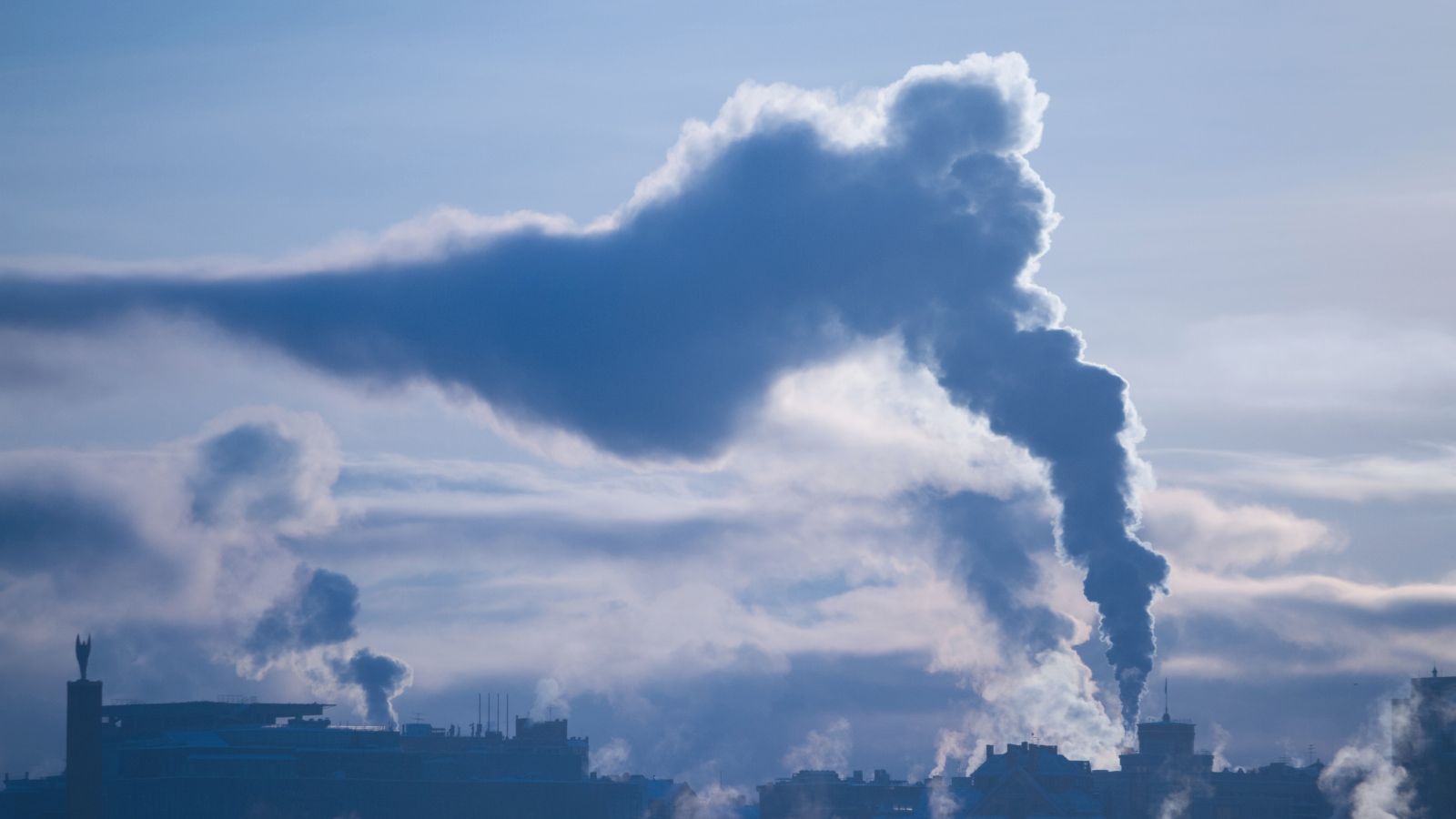 ERS, ELF and Lungs Europe response to the EU environmental law – 2025 implementation review - preview image