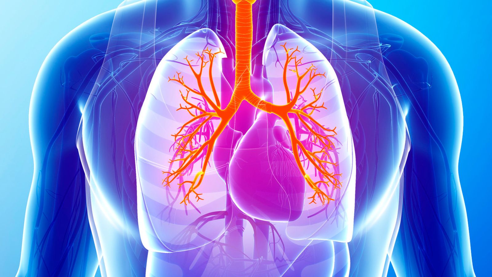 Academy of interstitial lung diseases - preview image