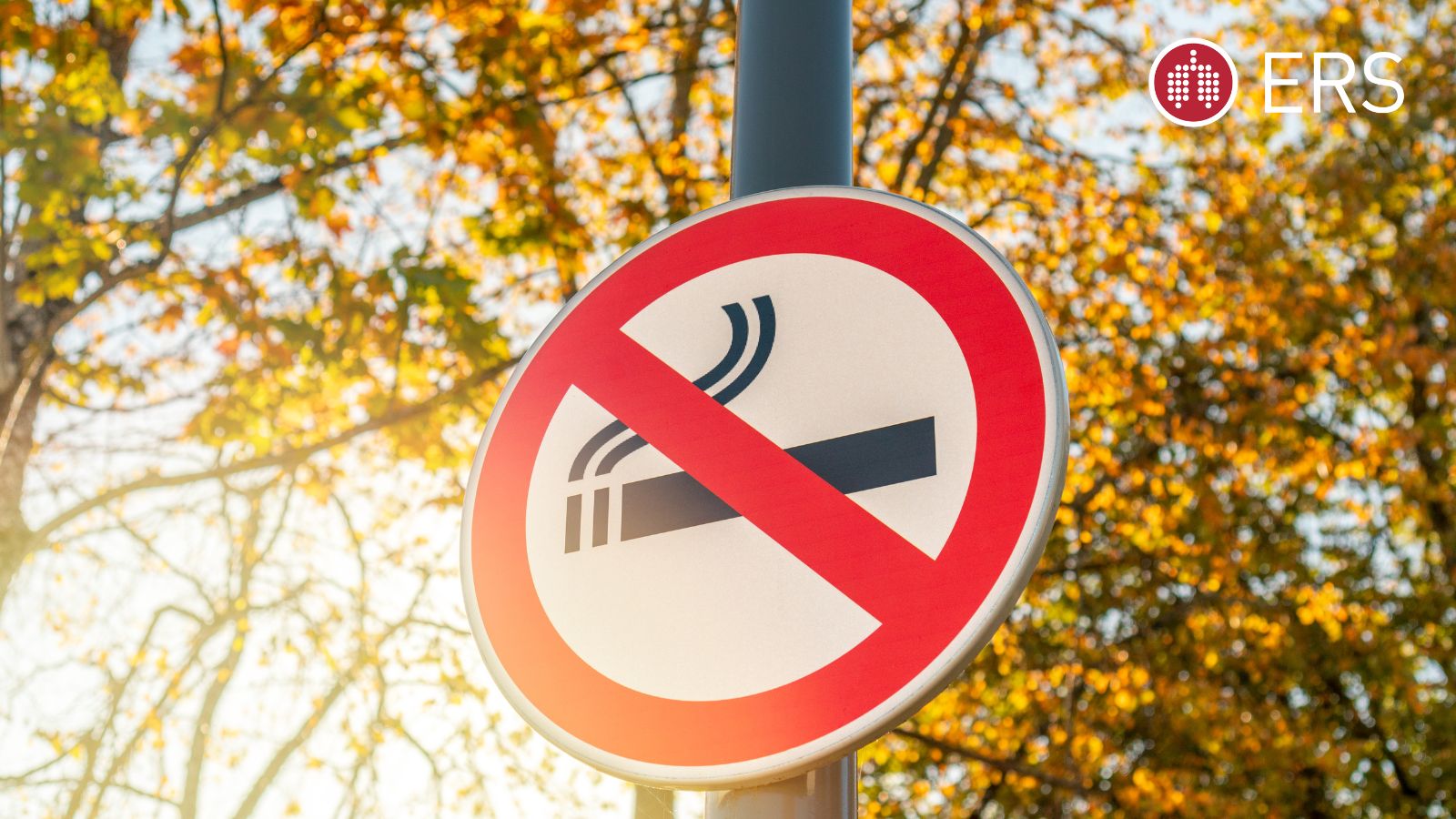 ERS and ELF outline five ways to strengthen tobacco taxation - Preview Image