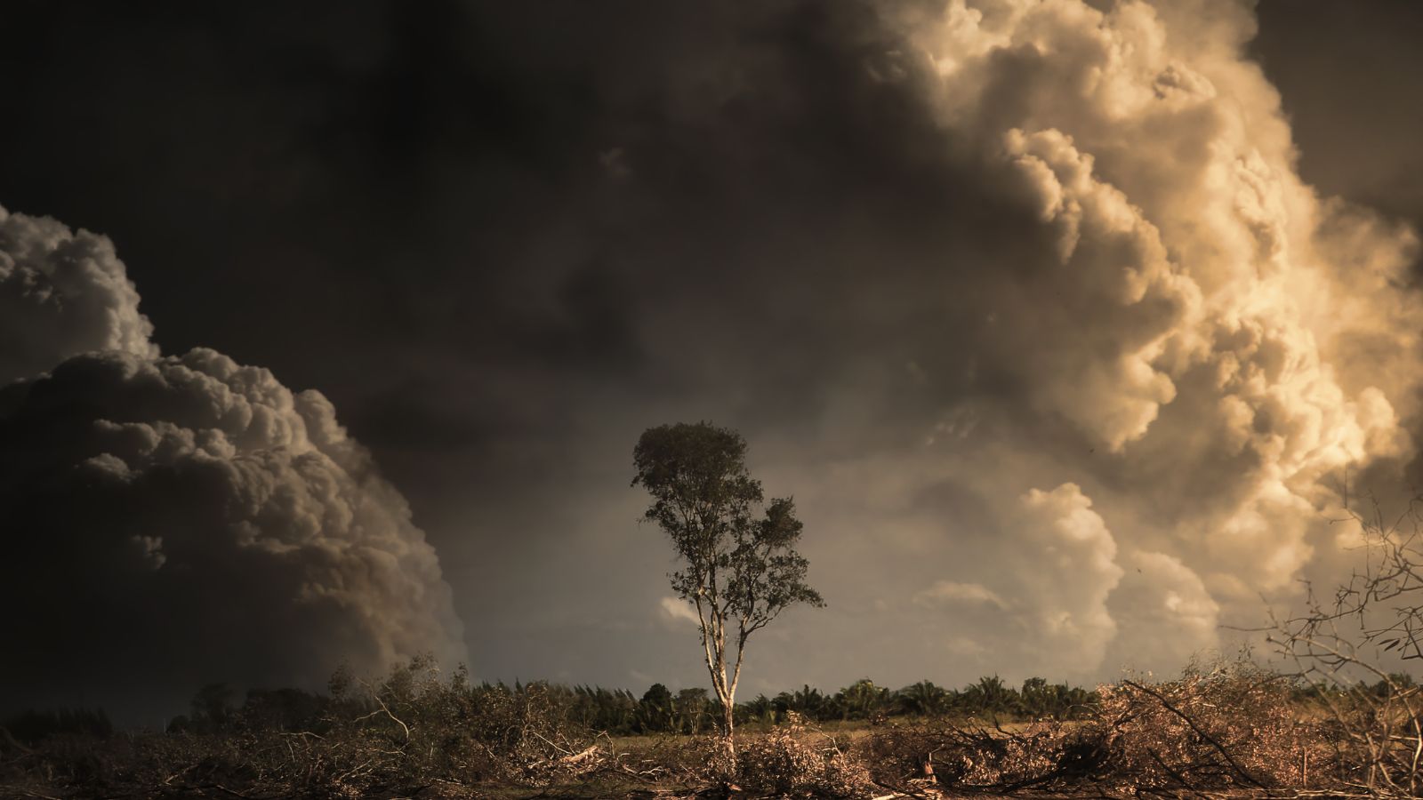 Canada wildfires: ERS and ISEE call for immediate action to curb the health impact of climate change - preview image