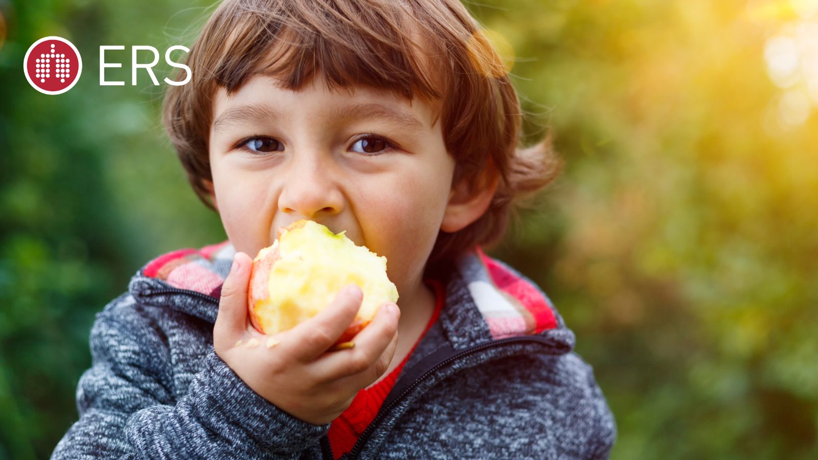 Eating fruit may reduce the effects of air pollution on lung function - preview image