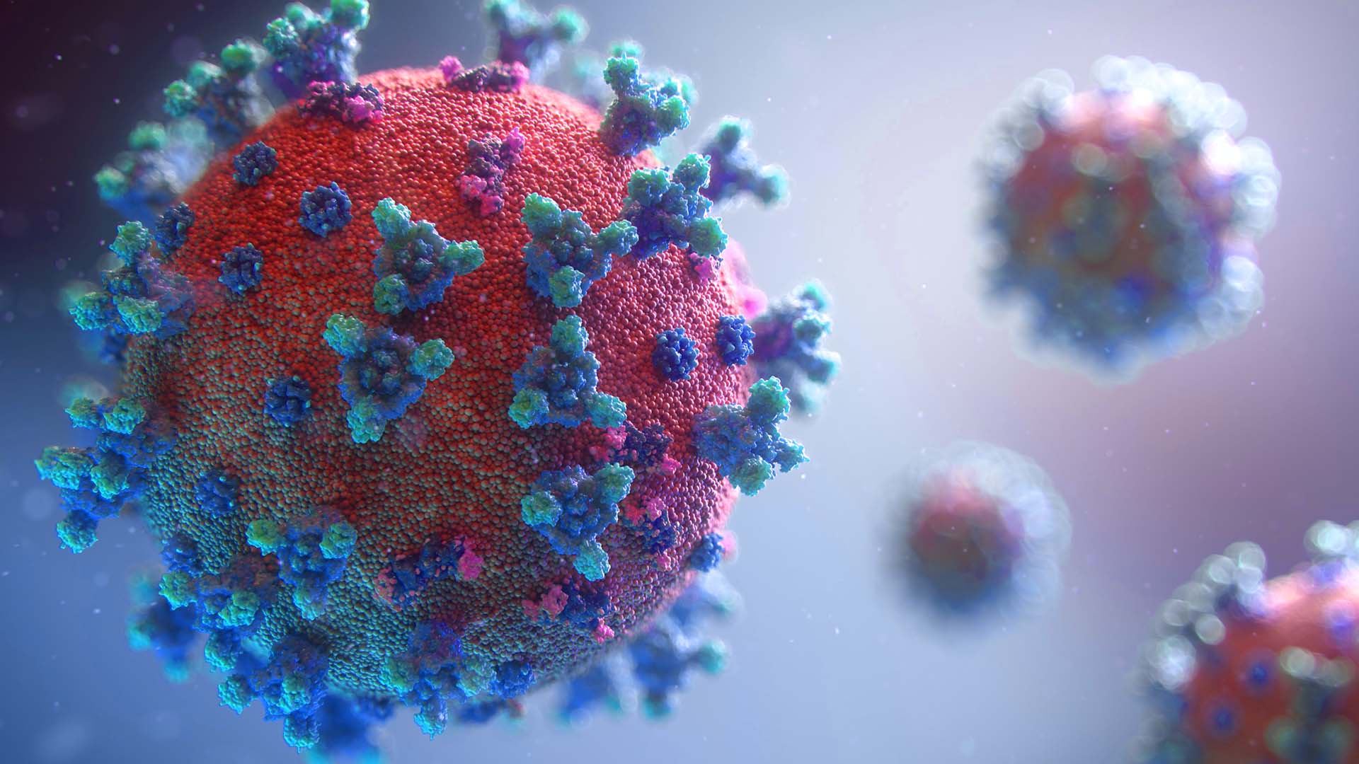 ERS statement on the draft report – “COVID-19 pandemic: lessons learned and recommendations for the future” - preview image