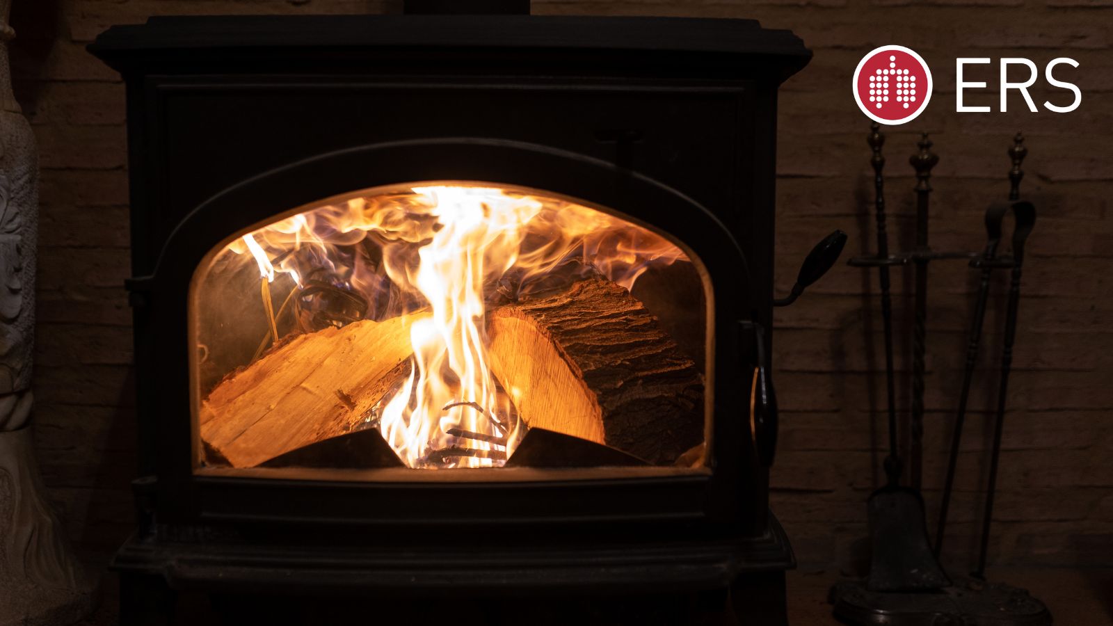 Indoor wood burners linked to a decline in lung function - preview image