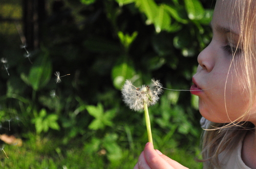 Urban greenness affects respiratory diseases differently by region - preview image