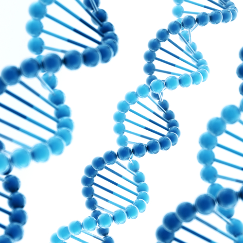 Familial pulmonary fibrosis-linked genes may contribute to RA-ILD susceptibility - preview image