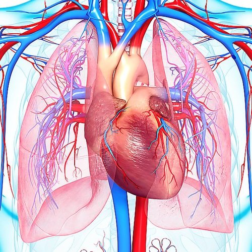 World Pulmonary Hypertension Day 2017: access our resources - preview image