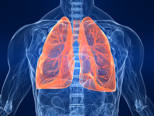 Study shows potential of stem cell therapy to repair lung damage - preview image
