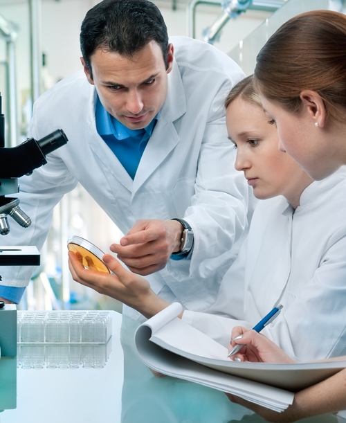 Emergence of unregulated stem cell treatments for respiratory diseases on the rise - preview image