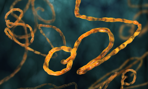WHO calls for research to ensure preparedness for major epidemics - preview image