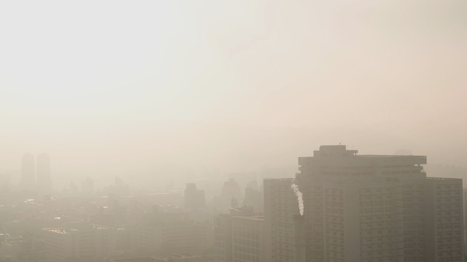 State of Global Air Report 2024 underlines the air quality emergency - preview image