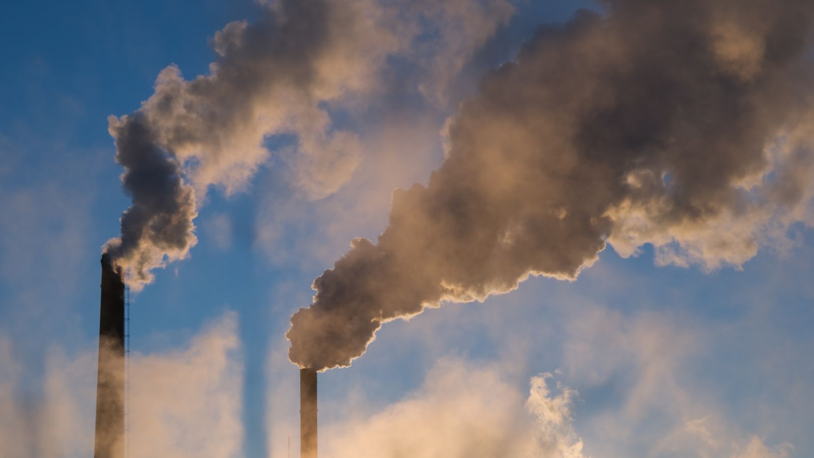 ERS signs joint letter demanding revisions to the EU Ambient Air Quality Directive to comply with scientific standards - preview image