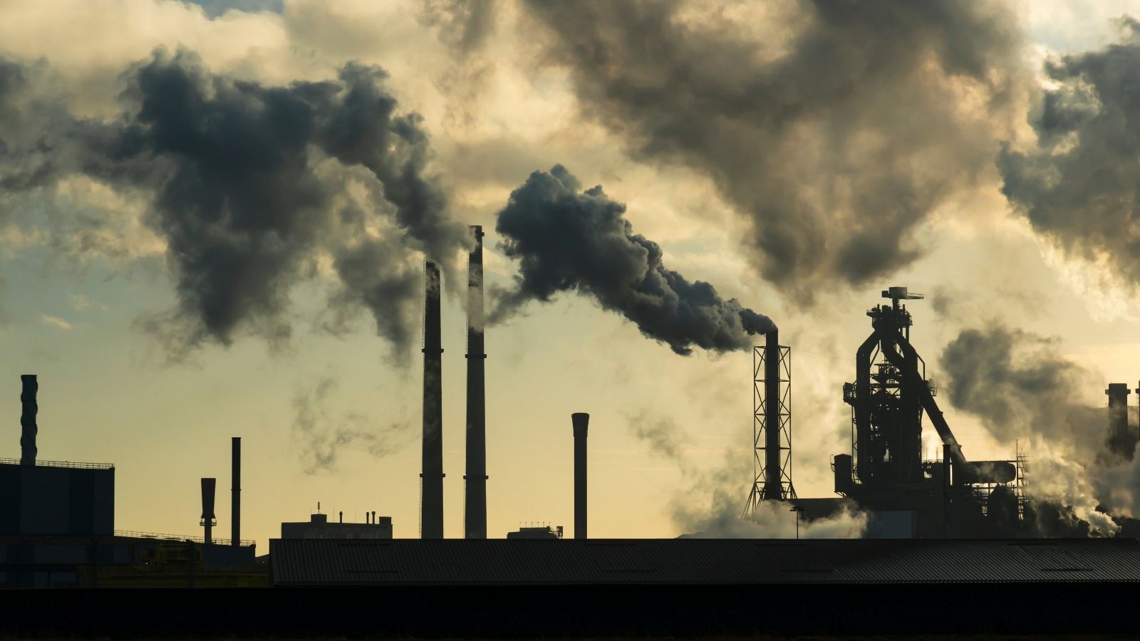 ERS expert: take bold air pollution action now to protect health - preview image