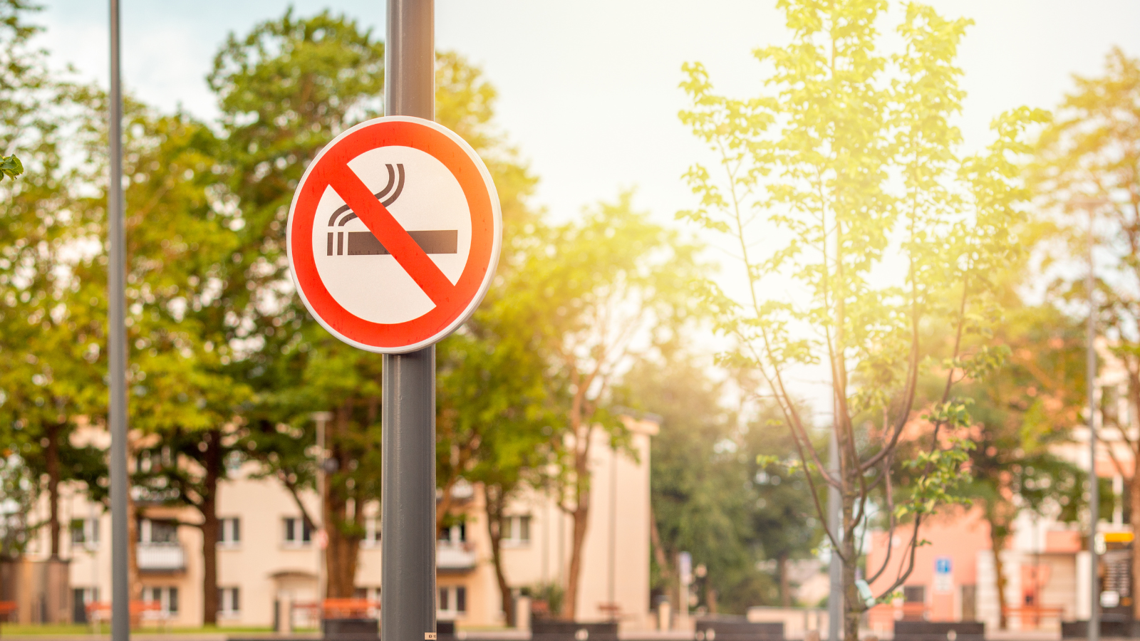 The Philip Morris-funded ‘Foundation for a Smoke-Free World’ has changed its name to ‘Global Action to End Smoking’ - preview image